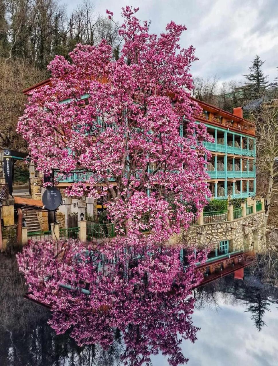 Old Tbilisi Narikala Apartment Экстерьер фото